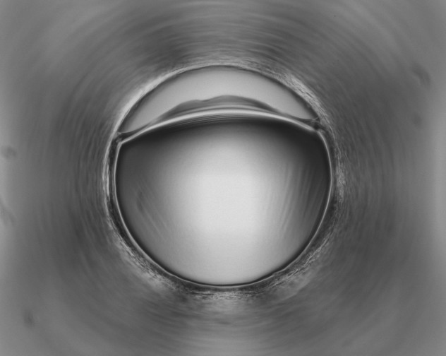 X0000090611028200708071159