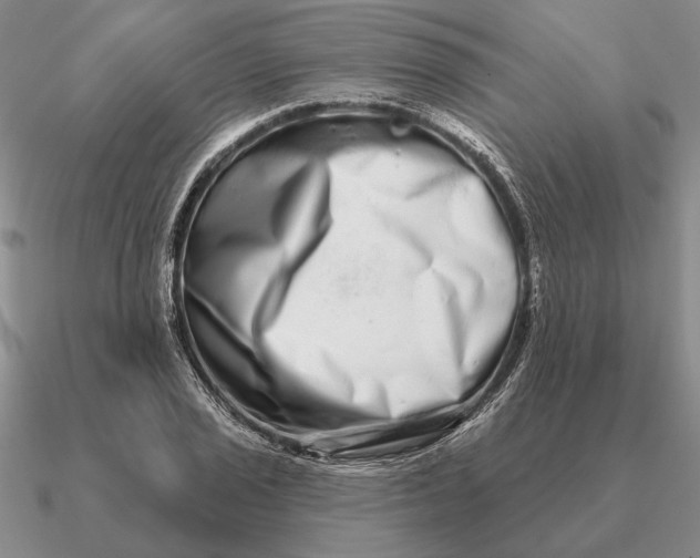 X0000090611029200708071159