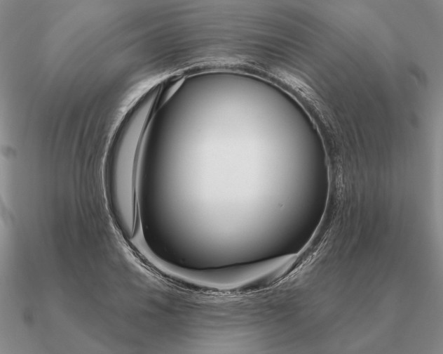 X0000090611030200708071159