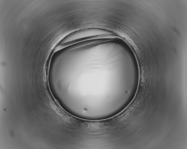 X0000090611031200708071159