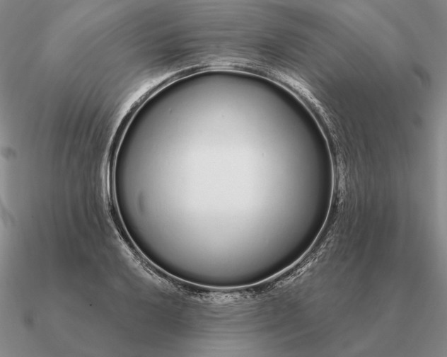 X0000090611032200708071159