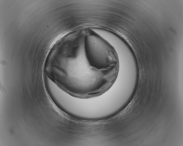 X0000090611034200708071159