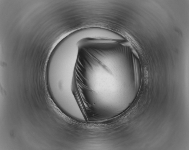 X0000090611036200708071159