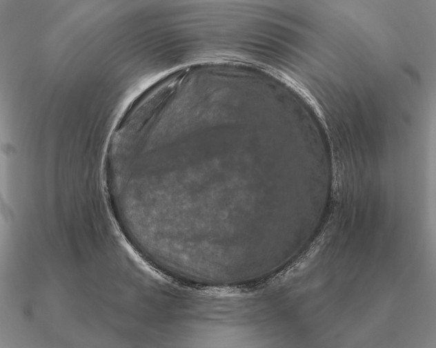 X0000090611037200708071159