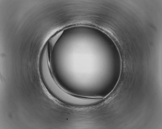 X0000090611038200708071159