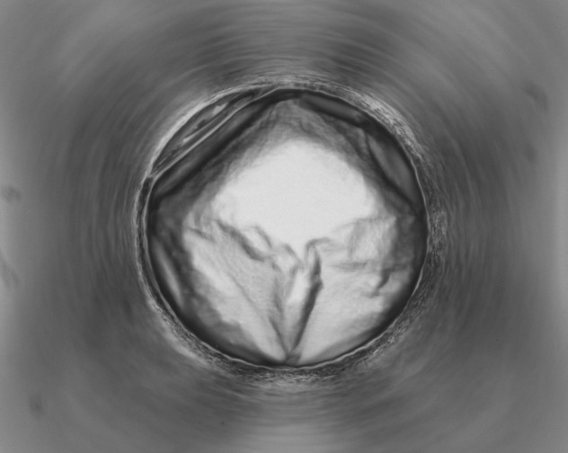 X0000090611039200708071159