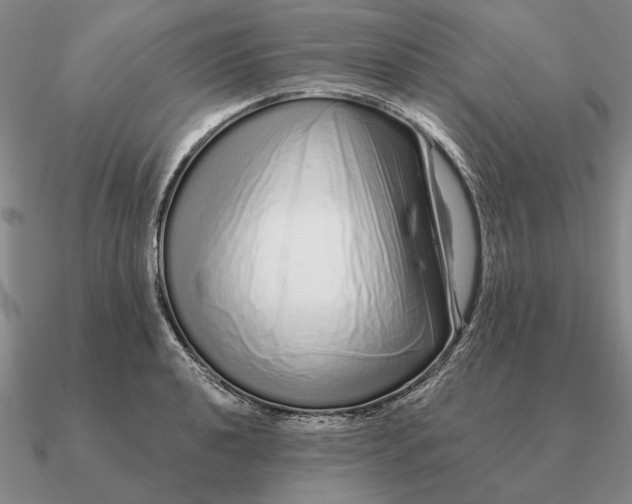 X0000090611040200708071159