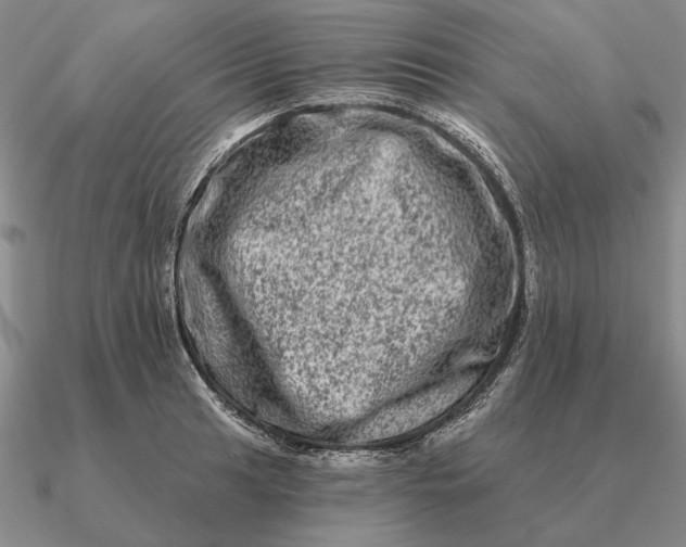 X0000090611041200708071159