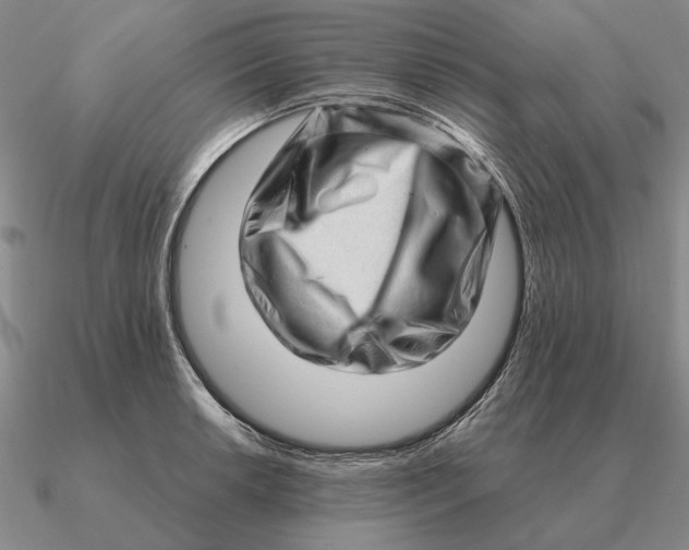 X0000090611042200708071159