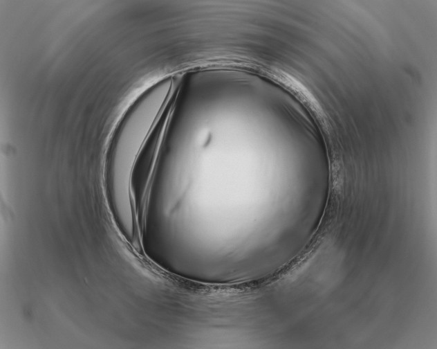 X0000090611043200708071159