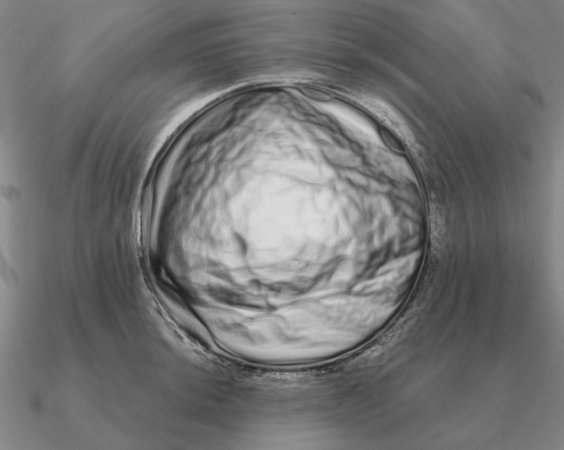 X0000090611044200708071159