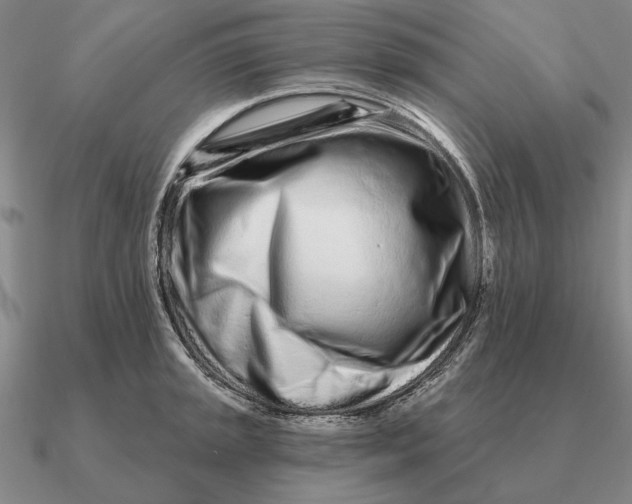 X0000090611045200708071159