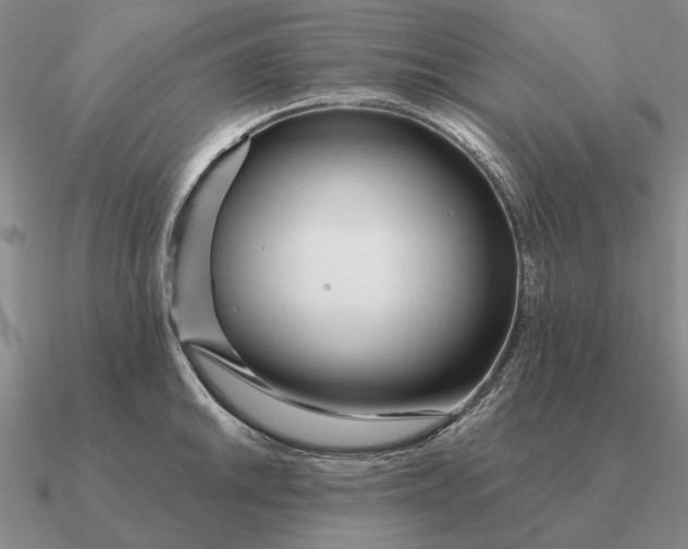 X0000090611046200708071159