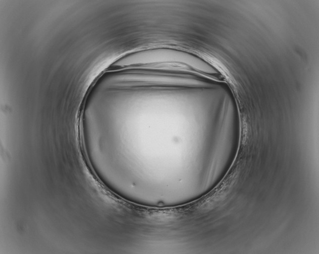 X0000090611047200708071159