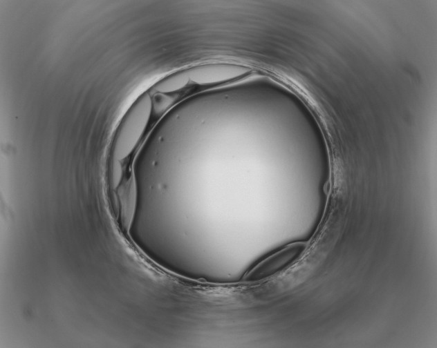 X0000090611048200708071159