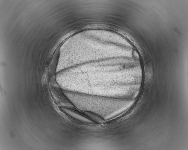 X0000090611049200708071159