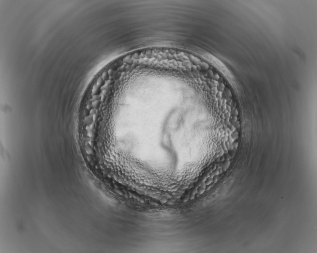 X0000090611051200708071159