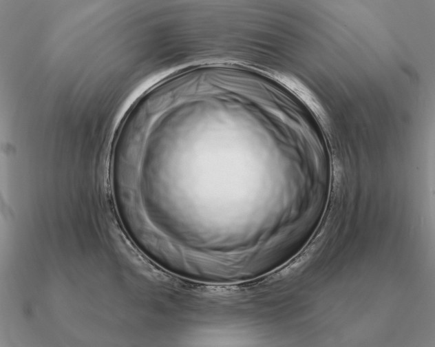 X0000090611052200708071159