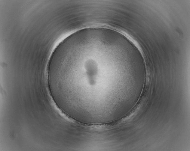 X0000090611053200708071159