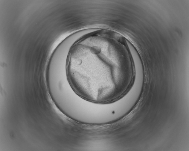 X0000090611054200708071159