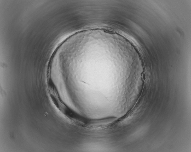 X0000090611055200708071159