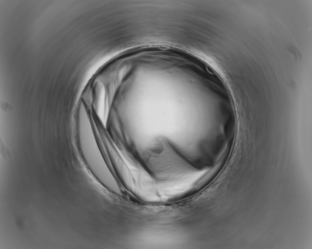 X0000090611056200708071159