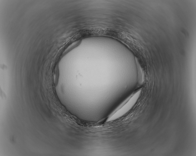 X0000090611057200708071159