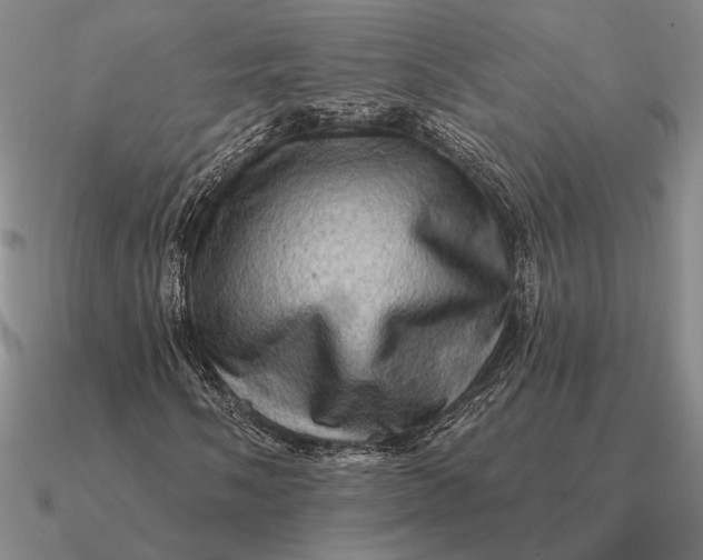 X0000090611058200708071159