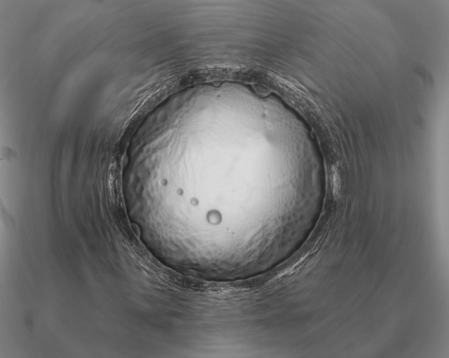 X0000090611059200708071159