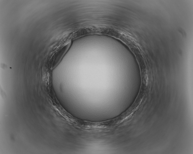 X0000090611061200708071159