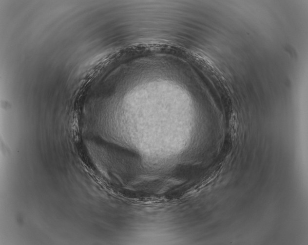 X0000090611062200708071159