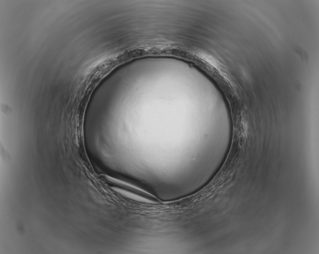 X0000090611063200708071159