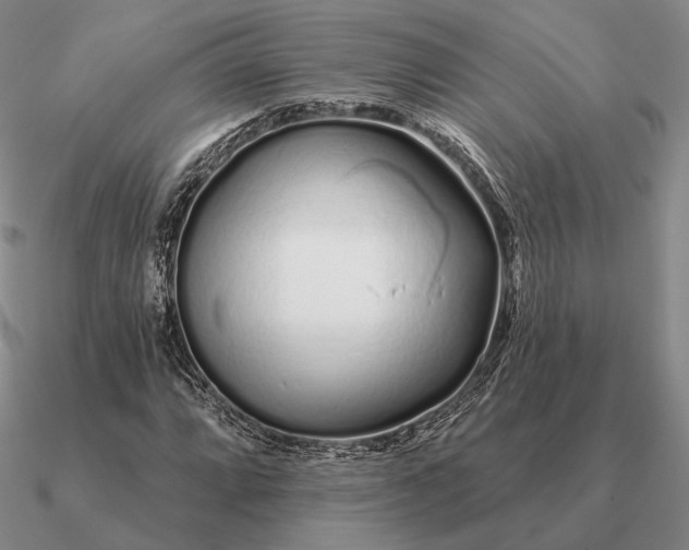 X0000090611064200708071159