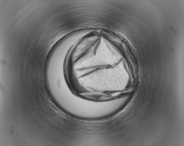 X0000090611065200708071159