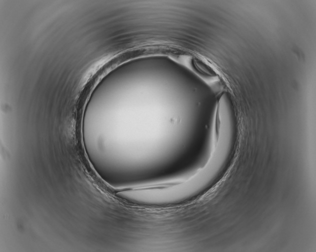 X0000090611066200708071159