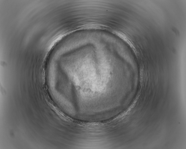 X0000090611067200708071159