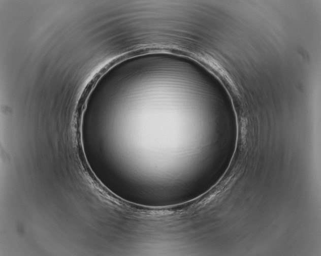 X0000090611068200708071159