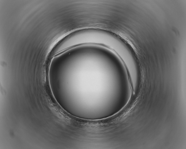 X0000090611069200708071158