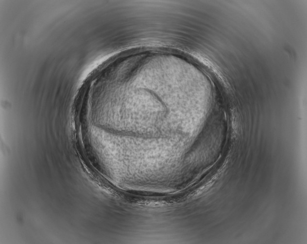 X0000090611070200708071158