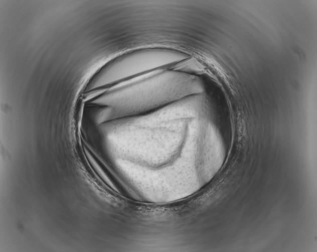 X0000090611072200708071158