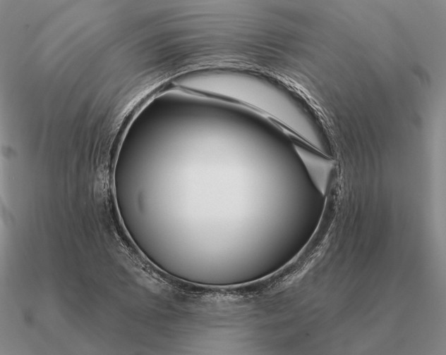 X0000090611073200708071158