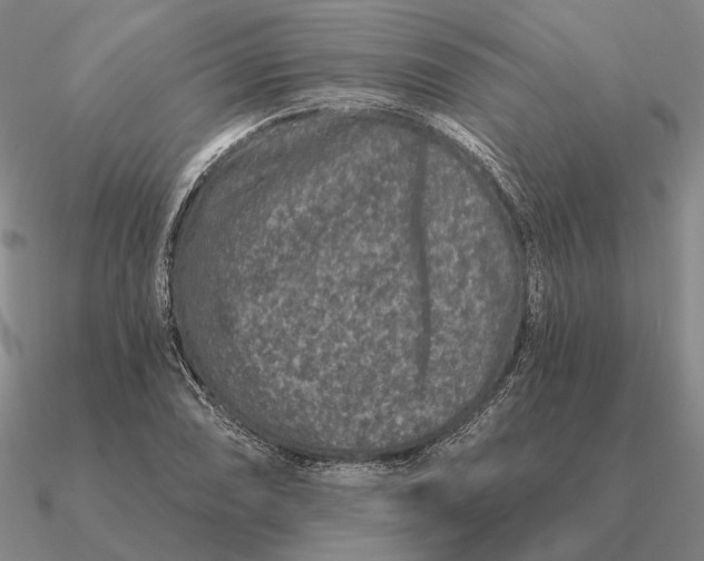 X0000090611074200708071158