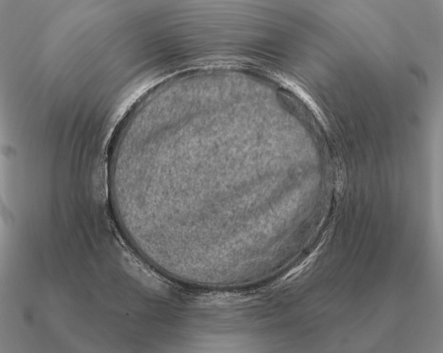 X0000090611075200708071158