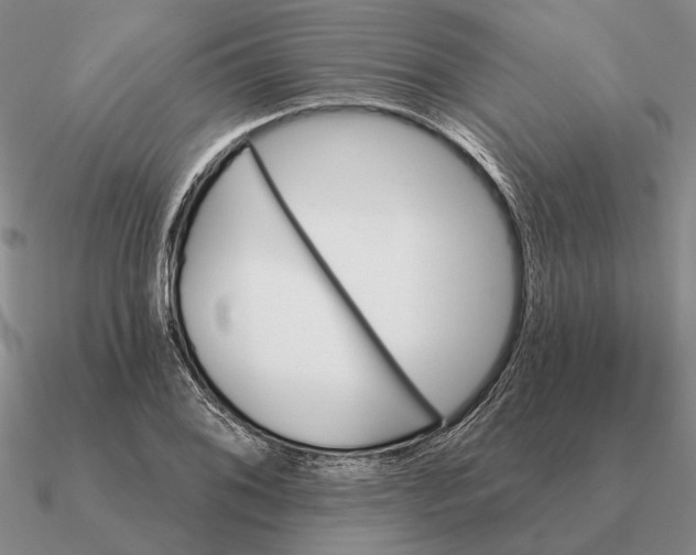 X0000090611076200708071158