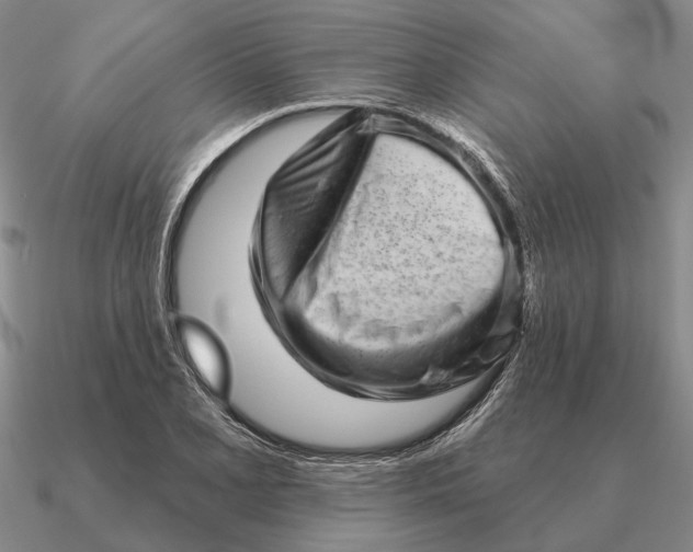 X0000090611077200708071158