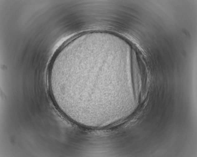 X0000090611078200708071158