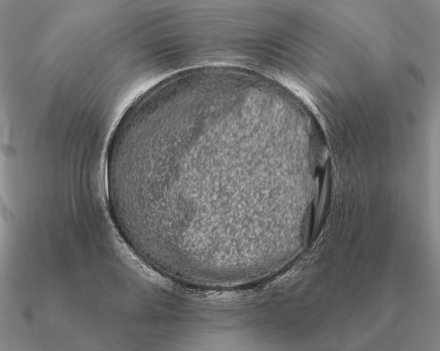 X0000090611080200708071158