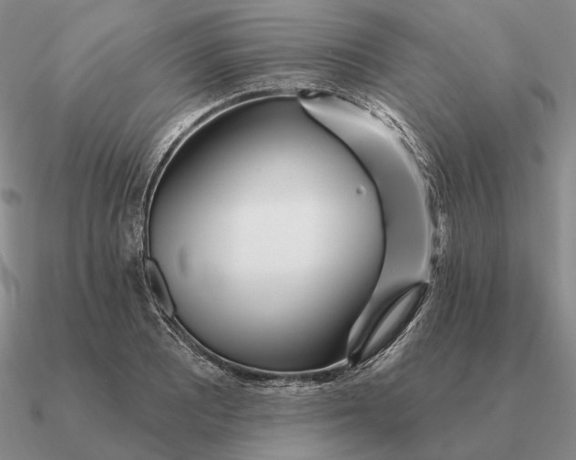 X0000090611081200708071158