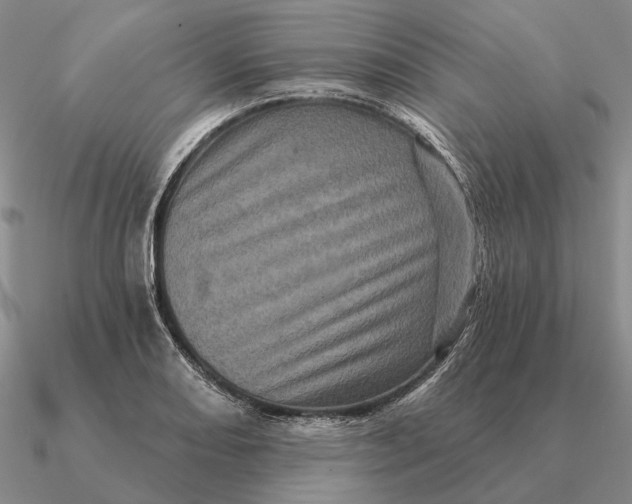 X0000090611082200708071158