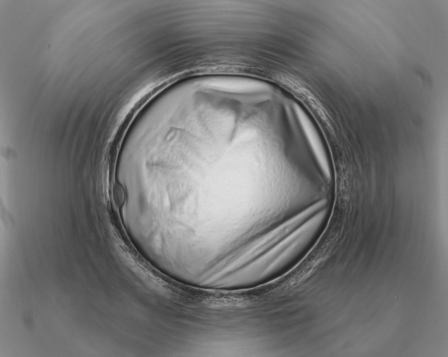 X0000090611083200708071158